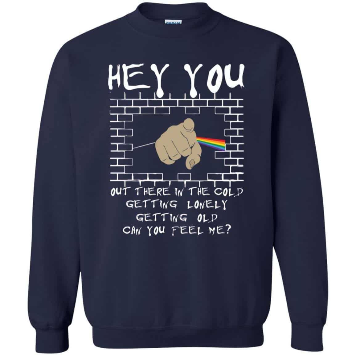 Hey you out there in the cold can you hear me Pink Floyd Shirt Gift for Men Women Fans Gift for Men Women Fans Hey you out there in the cold can you hear me Pink Floyd Shirt Gift for Men Women Fans Gift for Men Women Fans