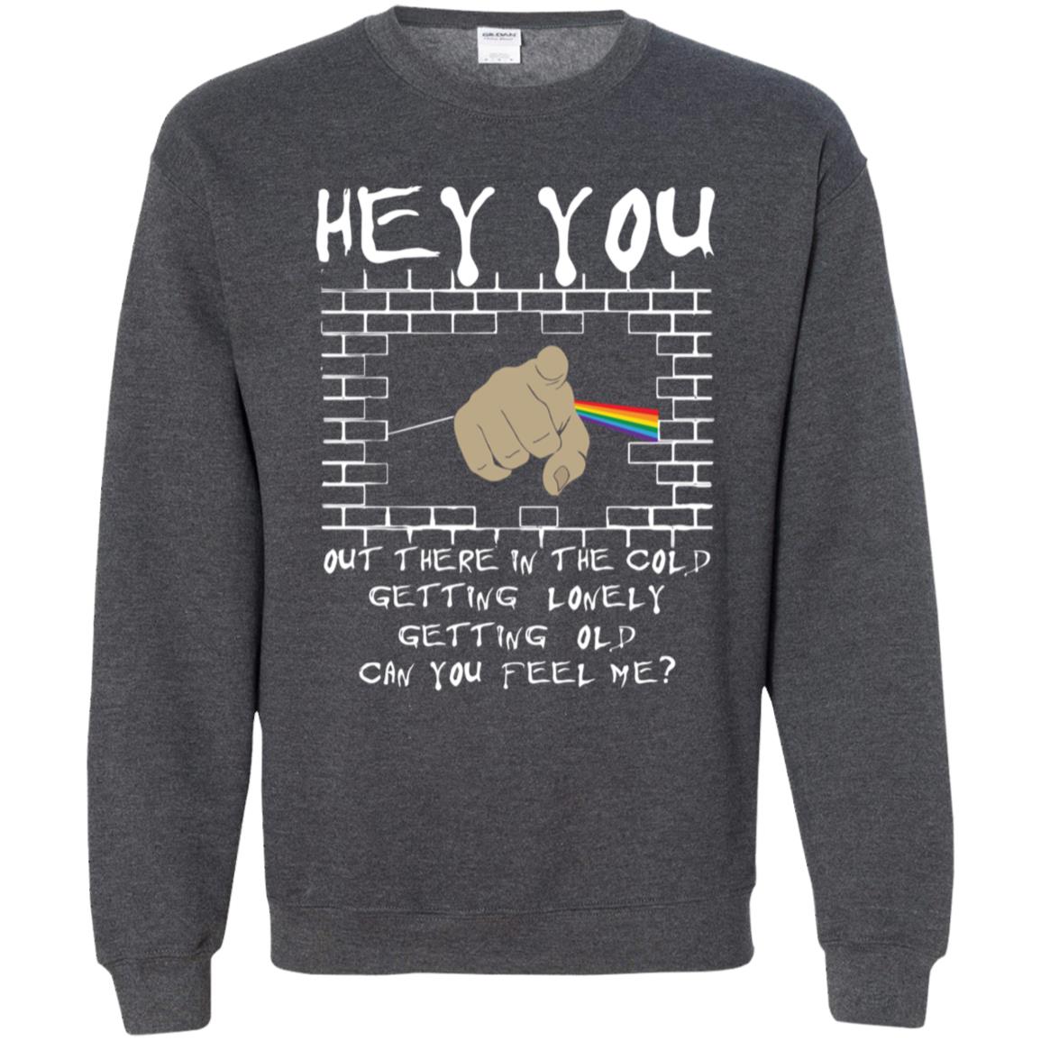 Hey you out there in the cold can you hear me Pink Floyd Shirt Gift for Men Women Fans Gift for Men Women Fans Hey you out there in the cold can you hear me Pink Floyd Shirt Gift for Men Women Fans Gift for Men Women Fans