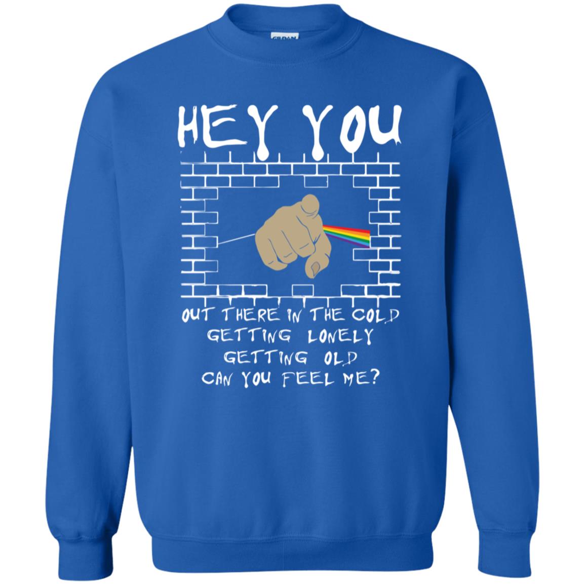 Hey you out there in the cold can you hear me Pink Floyd Shirt Gift for Men Women Fans Gift for Men Women Fans Hey you out there in the cold can you hear me Pink Floyd Shirt Gift for Men Women Fans Gift for Men Women Fans