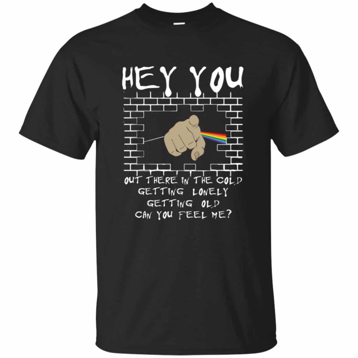 Hey you out there in the cold can you hear me Pink Floyd Shirt Gift for Men Women Fans Gift for Men Women Fans