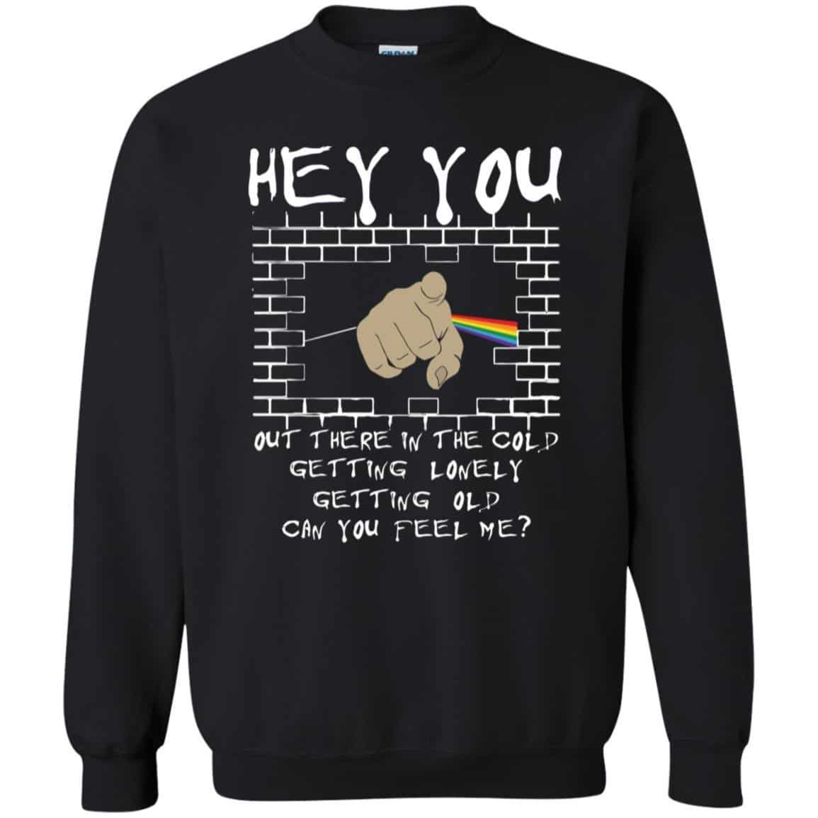 Hey you out there in the cold can you hear me Pink Floyd Shirt Gift for Men Women Fans Gift for Men Women Fans Hey you out there in the cold can you hear me Pink Floyd Shirt Gift for Men Women Fans Gift for Men Women Fans