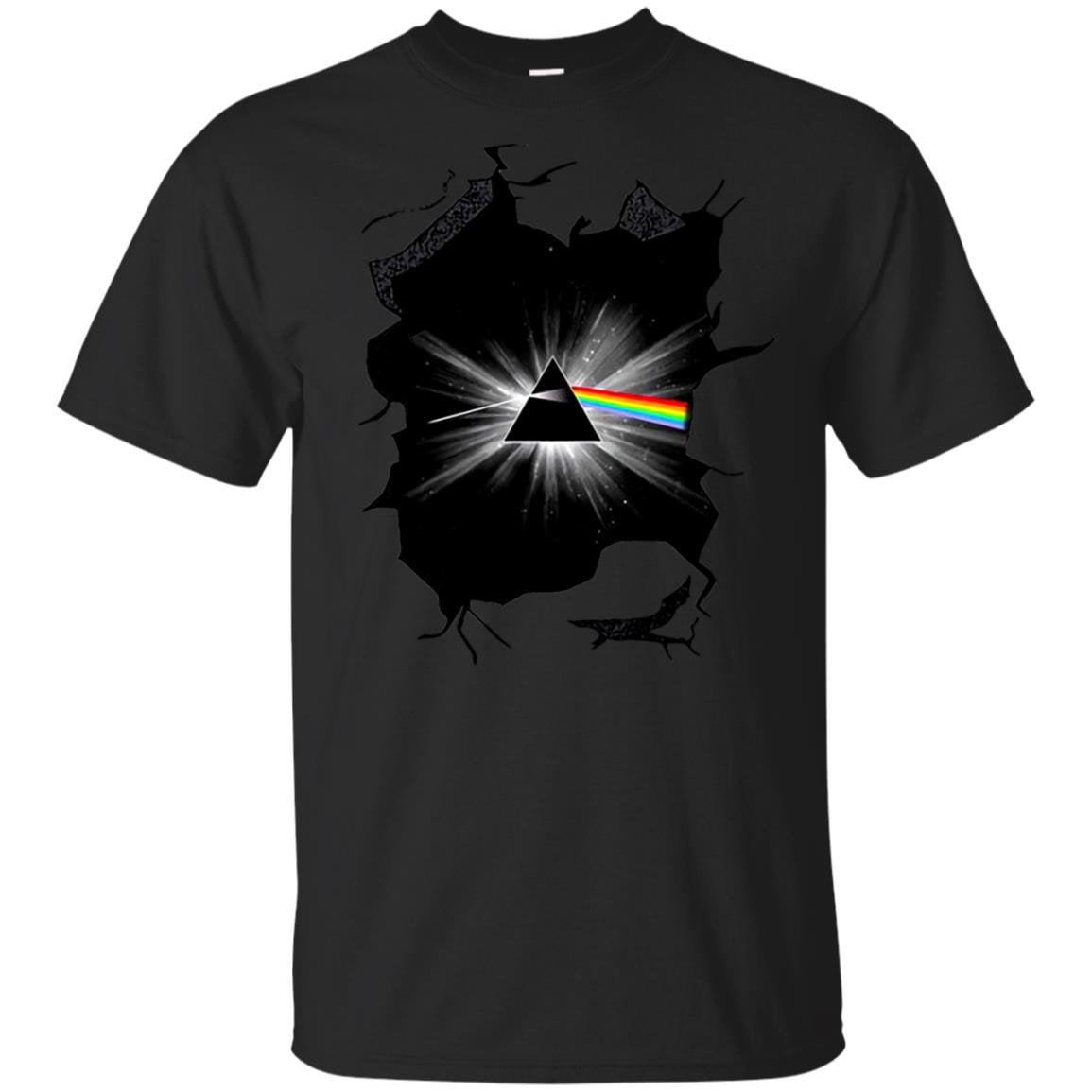 DSOTM in the Wall Pink Floyd Shirt Gift for Men Women Fans Gift for Men Women Fans