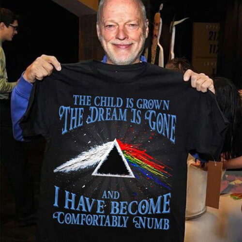 Pink Floyd The Child Is Grown The Dream Is Gone Shirt Gift for Men Women Fans Gift for Men Women Fans
