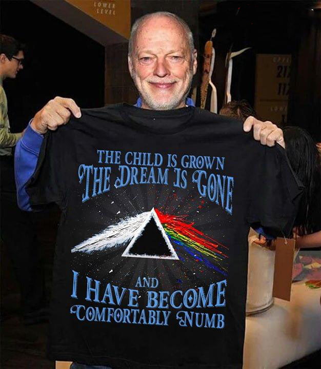 Pink Floyd The Child Is Grown The Dream Is Gone Shirt Gift for Men Women Fans Gift for Men Women Fans Pink Floyd The Child Is Grown The Dream Is Gone Shirt Gift for Men Women Fans Gift for Men Women Fans