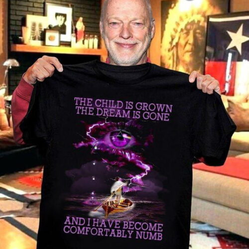 Pink Floyd The Child Is Grown The Dream Is Gone I Have Become Comfortably Numb Shirt Gift for Men Women Fans Gift for Men Women Fans