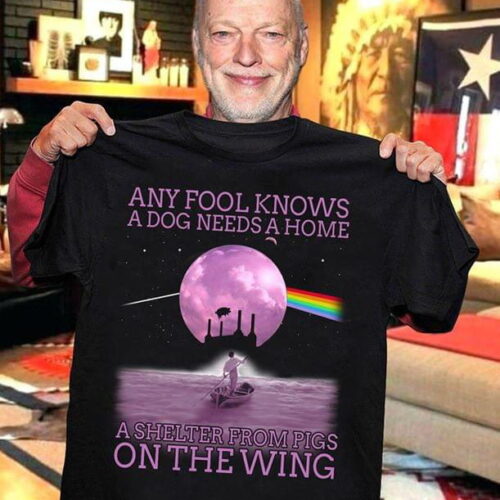 Pink Floyd Any Fool Know A Dog Needs A Home A Shelter From Pigs On The Wing Shirt Gift for Men Women Fans Gift for Men Women Fans