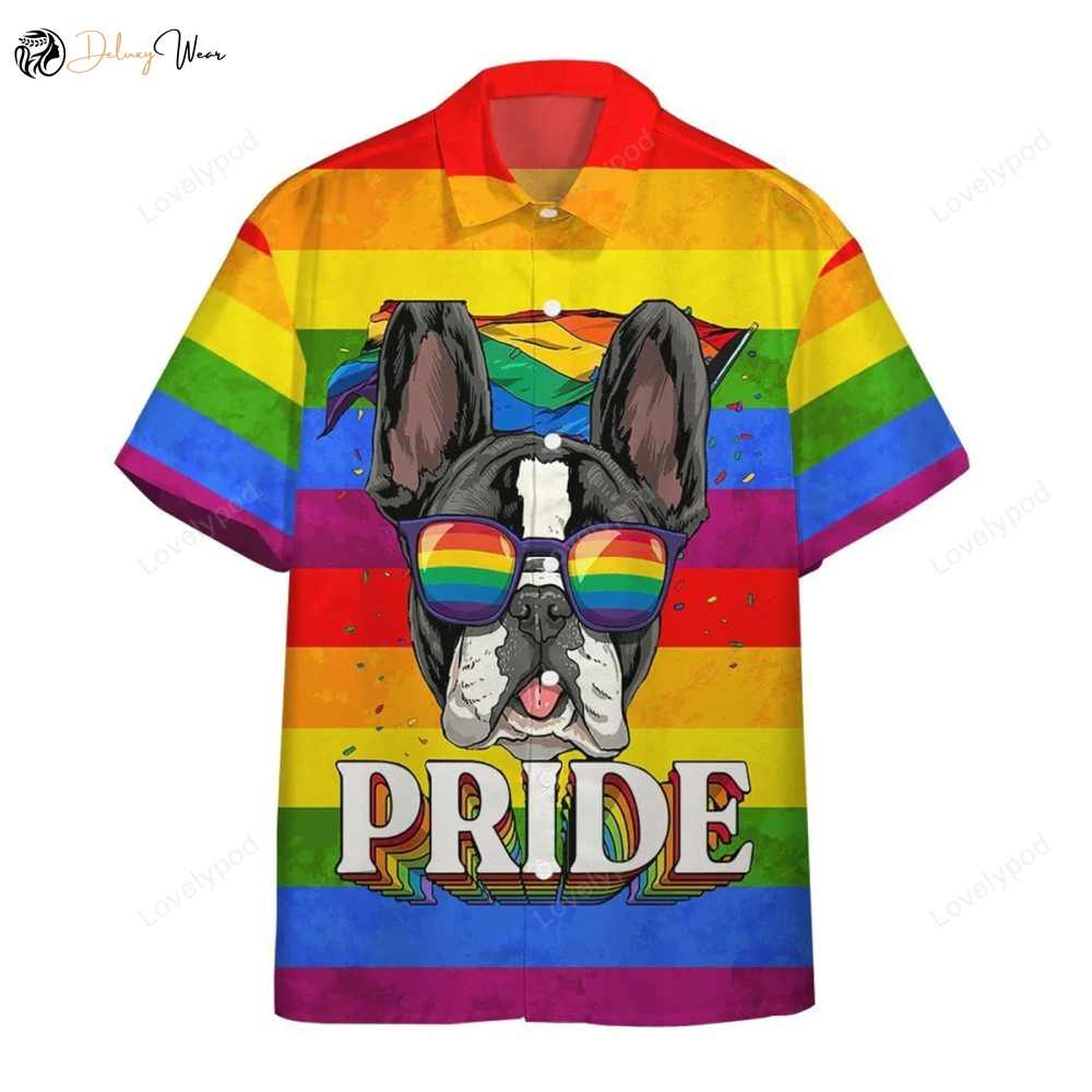 Ally Pride Hawaiian Shirt: Awesome 3D Design Full Printed for Summer