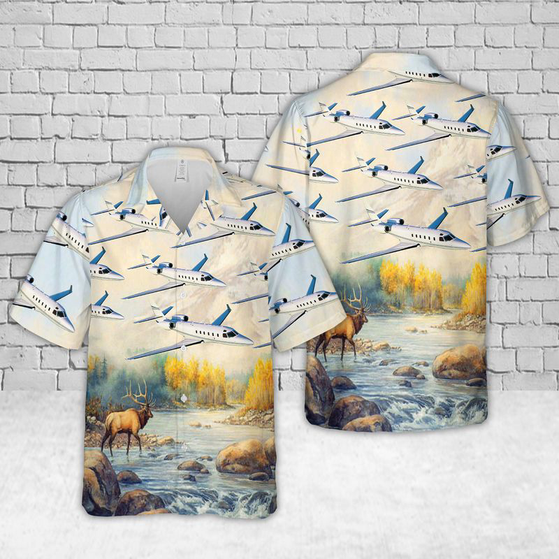 District of Columbia Air National Guard Gulfstream G100 Hawaiian Shirt Gift for Men Dad Father Gift for Men Dad Father