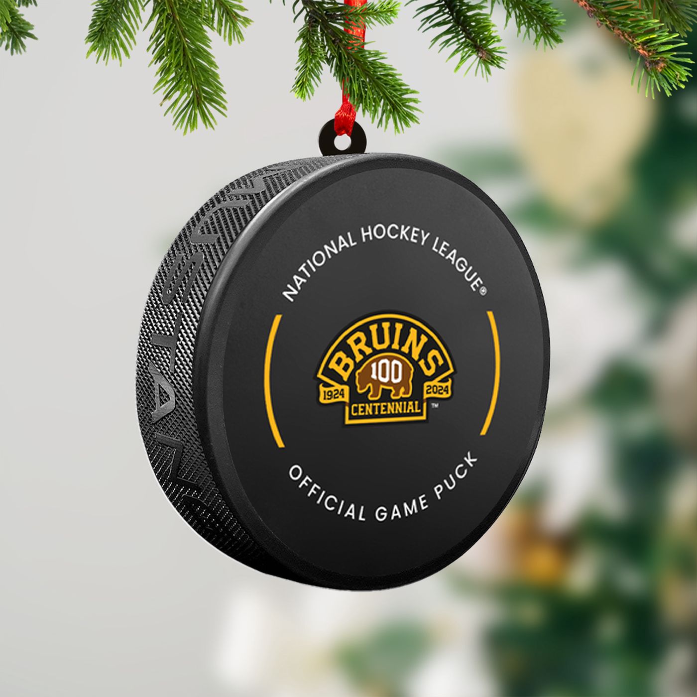 Boston Bruins 2-Side Printed Acrylic Ornament  – Gift for Christmas Day