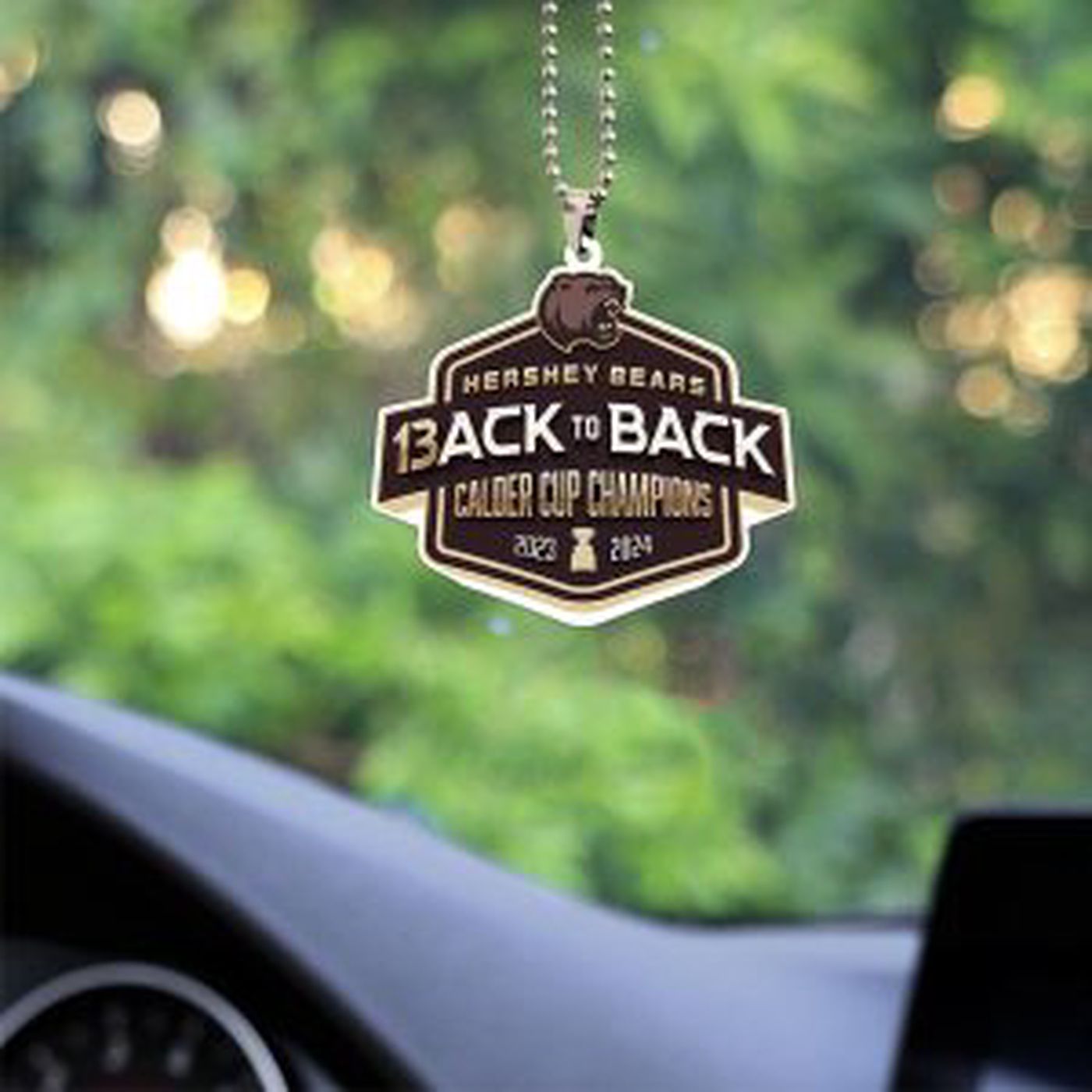 Hershey Bears Custom Shape 2-sided Acrylic Car Ornament